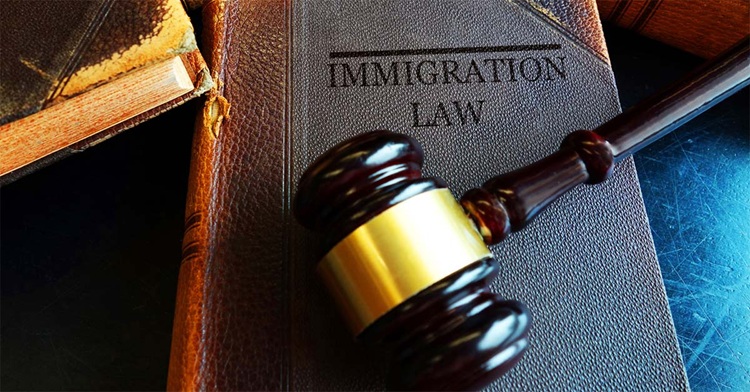What Should You Expect When Working With an Immigration&nbsp;Lawyer